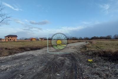 TEREN INTRAVILAN BRASOV-STUPINI STR. FAGURULUI - 3