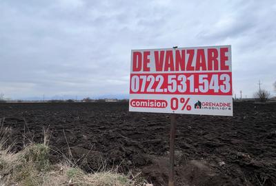 Teren agricol extravilan de 50000 mp, în Hălchiu