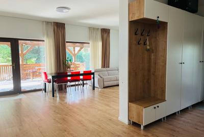 De inchiriat Casa moderna 160 mp teren 1000 mp Tocile Sadu - 8