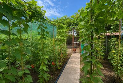 Casa P+1 | 317 mp teren | Ovidiu - 19