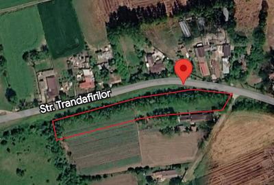 Teren intravilan Nuci, 3100mp, deschidere 171.5m, asfalt - 2