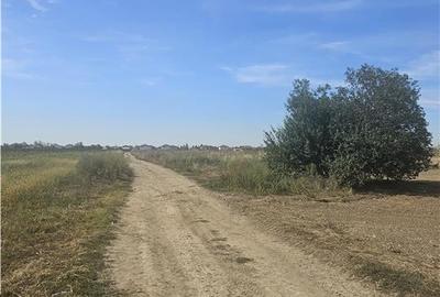 Oportunitate Investitie - Dragomiresti Vale - Zurbaua - A1 - A0 - sos Centura - 11