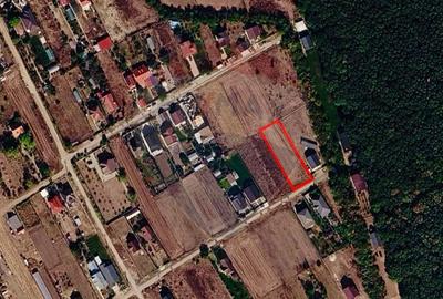De vanzare Teren intravilan 1000 mp, langa padure, Moara Vlăsiei - 3