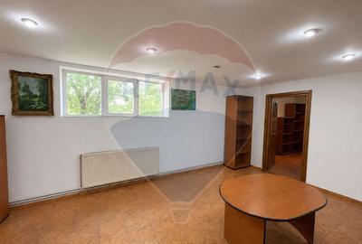 Hală/depozit, platforma betonata 600mp, Stefănești langa Centura - 5
