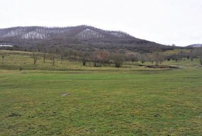 Teren Șieu-Măgheruș – 15 km de Bistrița | Potențial metropolitan - 3