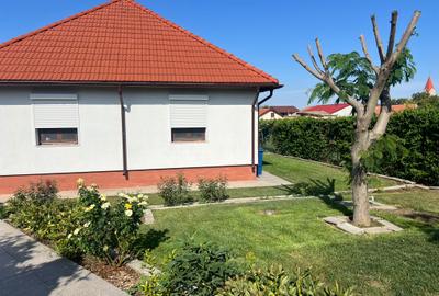 Casa 'din vis' frumoasa ,cocheta, la sol, caramida, 2014, 980 mp teren, M.Kogaln - 4