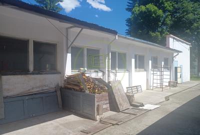 De vanzare fabrica mobilier lemn masiv sculptat + confectii metalice - 6