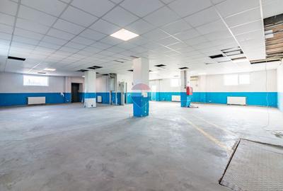 Inchiriere Spațiu productie-logistic 1550mp Centura B. Renov. 2024 ISU - 22