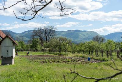 🏡 Oportunitate Unică pe Via Transilvanica | Domeniu superb cu 2 CASE și Grădină - 3