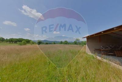Casă în Crăciunești | Oportunitate de Investiție - 3