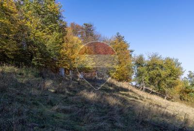 Teren 2,900mp Brasov / Strada Ciresului - 5