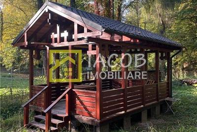 Casa cu teren, str. Slatinei, Luncani - Margineni - Bacau - 20