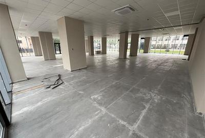 Spatiu comercial 430mp - BLOC 2026 - Str Bradului - PARCARE - Vitrina generoasa - 5