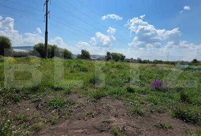 Teren Construcții extravilan de 1600 mp, în Unirea