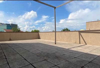 Villa garden Pipera OMV - 10