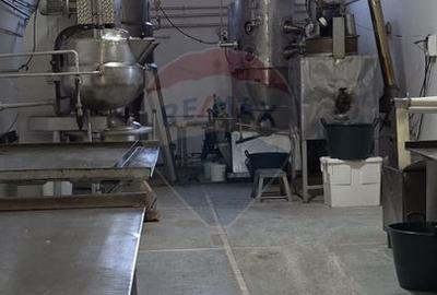 Complex multifunctional-Business & Logistic Campus-Spațiu industrial - 23
