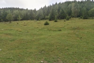 Teren Construcții intravilan de 10000 mp, în Muntele Rece