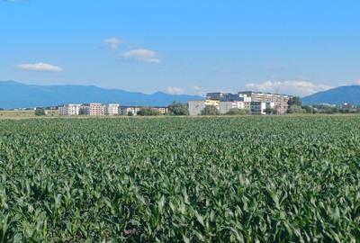 TEREN INTRAVILAN DE INVESTIȚIE – 47.000 MP - 6