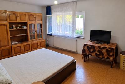 Apartament cu 2 camere decomandat, mobilat în Craiovița Nouă