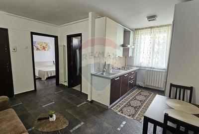 Apartament cu 2 camere de închiriat în zona Precista - 16