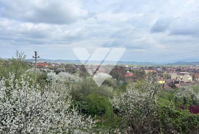 Teren de vanzare - Saliste - Intravilan  -  430 MP - 5