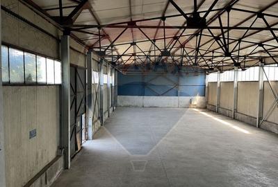 Hala + platforma betonata 600mp, Stefanesti langa centura - 4