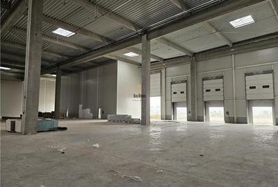 Spatiu Industrial - 5300 mp - Productie - Depozitare - Logistica - Distributie - 14