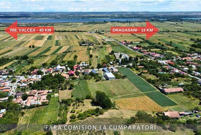 OPORTUNITATE UNICA IN DOMENIUL VITICOL - 12