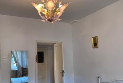MT530 Babu's Vintage Apartment | Intrarea Gheorghe Costea Strada Inchisa - 14