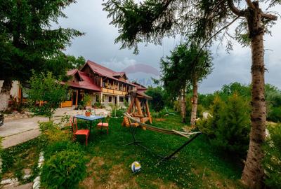 Pensiune de vânzare, Corbșori (Poenari)| potențial real de Business - 40