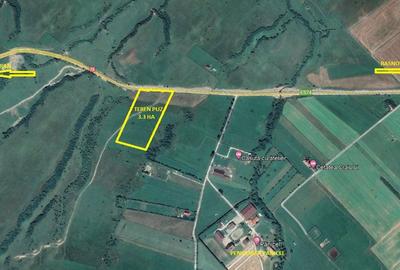Teren superb cu PUZ in zona Panicel Rasnov spre Bran - 1