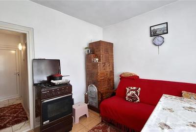 Casa Panciu, 870 mp teren curti constructii - 16