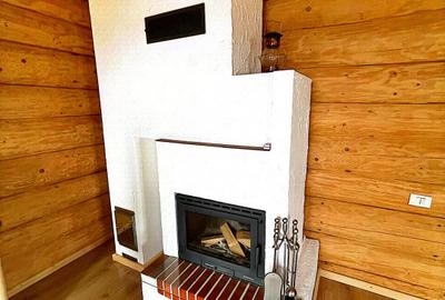 Cabana cu 7 camere de vanzare in Albac - V10073 - 47