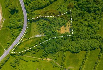 Teren 1ha Valea Glăjeriei - Rasnov | Comision 0% - 2
