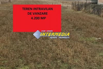 Teren Construcții intravilan de 4200 mp, în Cetate