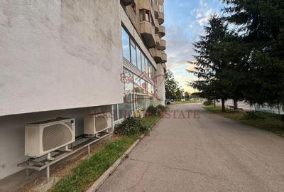Investiție comercială 1.541 mp cu chiriași – Calea Aradului. - 10