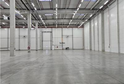 Spatiu Industrial - 3200 mp - Logistica - Depozitare - Distributie - 1
