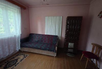 Teren, padure si casa in Dumbrava de Jos, jud. Hunedoara - 5
