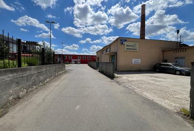 Hală industrială de inchiriat 260 mp Lipovei Iulius Mall TImișoara - 3