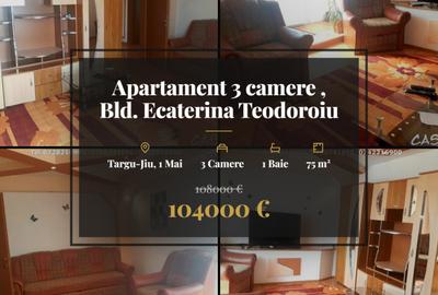 Apartament 3 camere , Bld. Ecaterina Teodoroiu, Targu jiu - 1