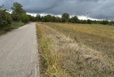 Vand teren Intravilan 1400 MP in Parcul National Comana - Vlad Tepes - Giurgiu - 12