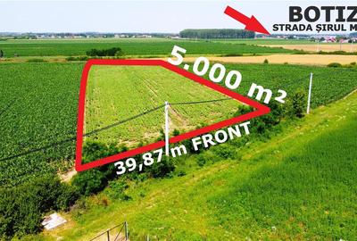 Teren extravilan - 5.000 m² in Botiz | 3 km de Satu Mare - 1