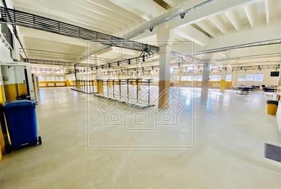 Spațiu industrial, de 1,200 mp, în Terezian