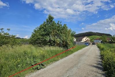 Teren intravilan Sanpetru Brasov Dealul Lempes - 5