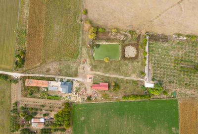 Casă cu teren 13 418 mp intravilan - 12