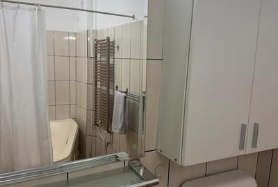 Casa Domenii Herăstrău, 4 camere, 2 băi, curte proprie. - 9