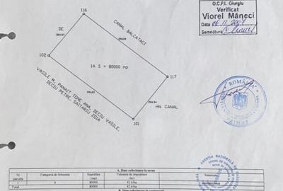 Teren extravilan 16,3 ha | Cosoba, Giurgiu | fotovoltaice - 5