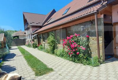Conac modern cu saună, ciubăr și seră, 1.500 mp grădină – sat Dridif - 16