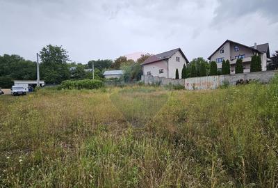 Teren intravilan 2700 mp, Moara-Bulai / Strada Hagigadar, Suceava - 9