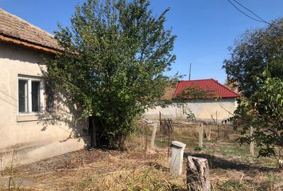 Exclusivitate! Teren 3.000 mp - Poiana - 40 euro/mp negociabil(Cod E2+E7) - 4